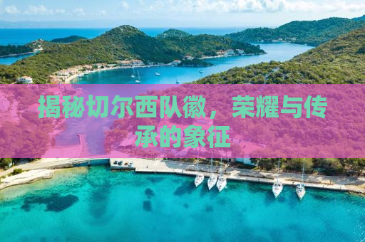 揭秘切尔西队徽，荣耀与传承的象征