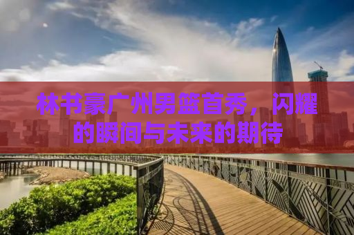 林书豪广州男篮首秀，闪耀的瞬间与未来的期待
