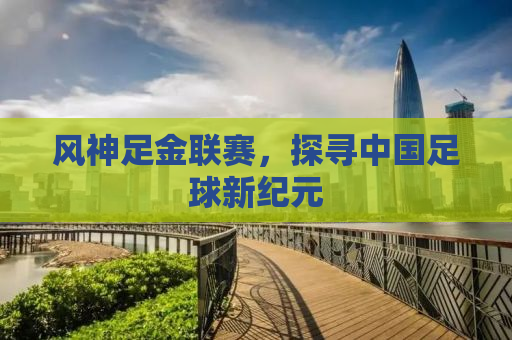 风神足金联赛，探寻中国足球新纪元