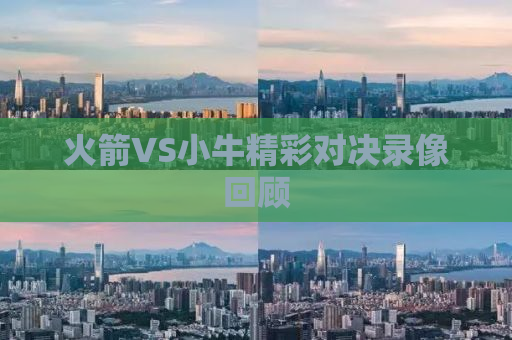 火箭VS小牛精彩对决录像回顾