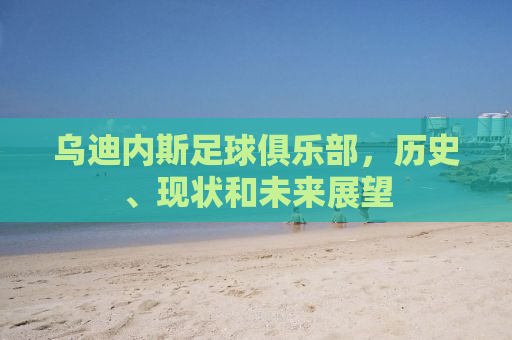 乌迪内斯足球俱乐部，历史、现状和未来展望